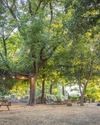 Camping Dafna - By Travel Hotel Chain