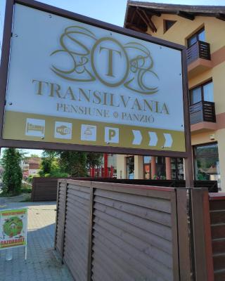 Pensiunea Transilvania