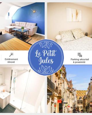 Appartement Cosy en Hypercentre - Le Petit Jules