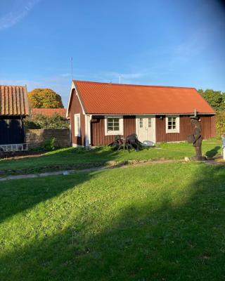 Ankiborg Bed and Breakfast