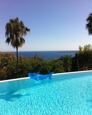 Cannes Eden résidence de luxe piscine tennis