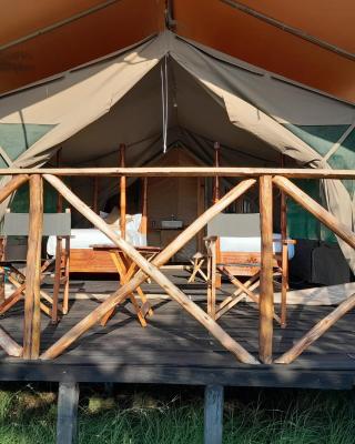 Tayari Luxury Tented Camp - Mara