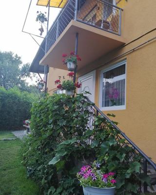 Casă de oaspeți ORSO
