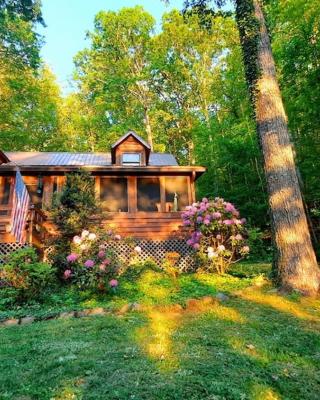 The Mountain Forager Cabin, Whitewater Rafting, Polar Express, Hot Tub, Home Gym, SMNP, SM Railroad