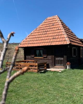 Etno brvnara TAMARA