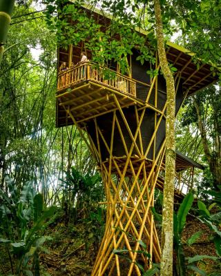 Eco Hotel Hacienda El Diamante