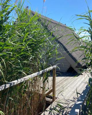 Seehütte Neusiedlersee - Waterfront 2