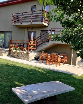 Casa Vlad