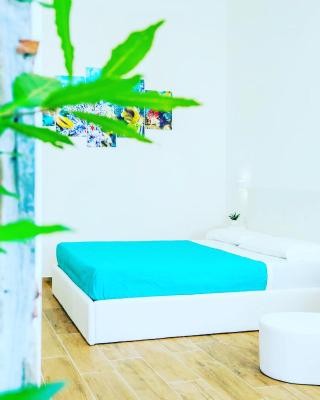 Sea Dream Camere