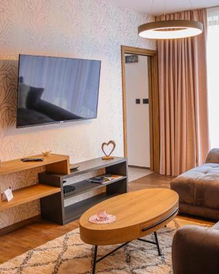 Apartman NISA - Ovruč