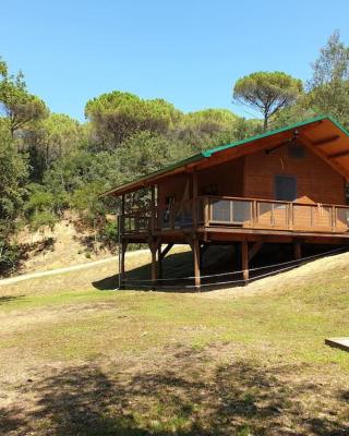 Rustic Cabin in the Woods/Cabaña en el bosque