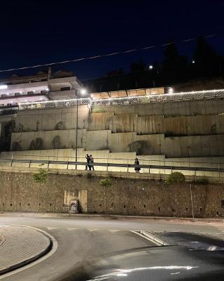 Hotel Belvedere