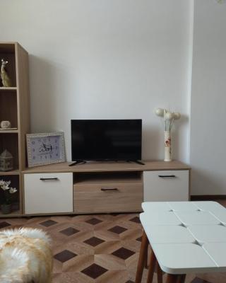 Apartman i sobe Milica Vrnjacka Banja