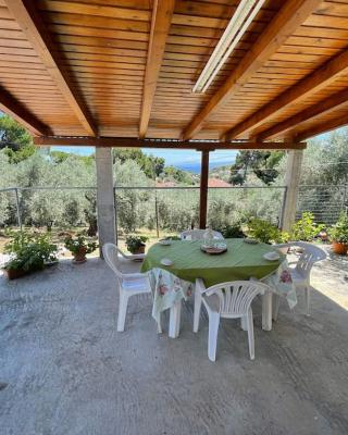 Alexiou Guesthouse Pilion Katigiorgis