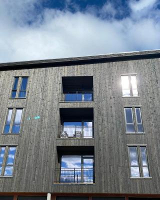 New apartment, Gausta in Rjukan. Ski in/ ski out