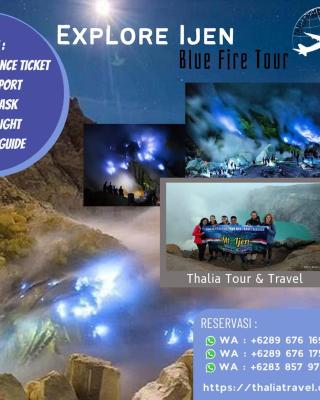 Thalia Homestay & Ijen Bromo Tour