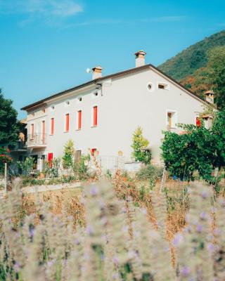 B&B Al Giardino dei Laghi