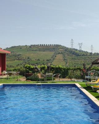 Quinta dos Padrinhos - Suites in the Heart of the Douro