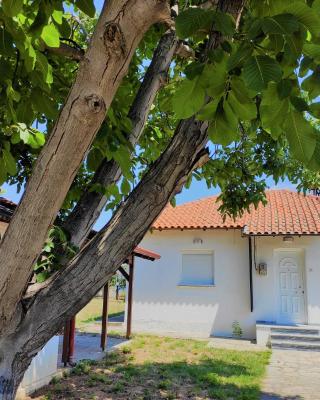 White Clam Vintage House with sea view & garden