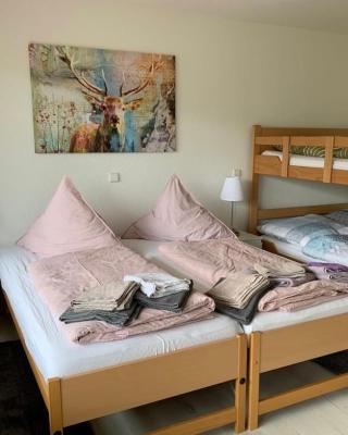 Haus am Sonnenberg,Todtnauberg, Ferienwohnung 105, direkt am Skilift-Skipiste, Nähe Feldberg