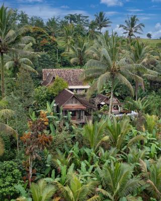 Nienté Bali