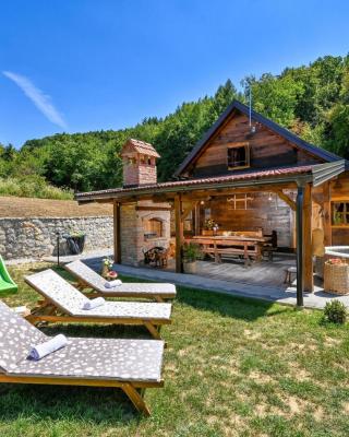 Pet Friendly Home In Varazdin Breg With Jacuzzi