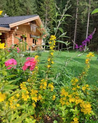 Ferienhaus - Chalet - Lechtraum