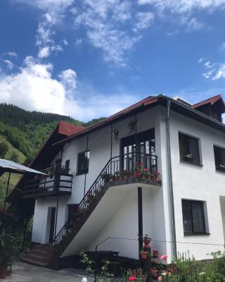 Casa Elena