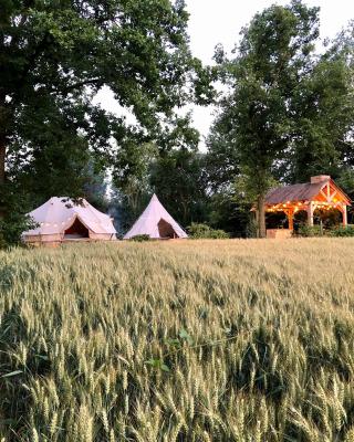 Cowcooning / Family tents