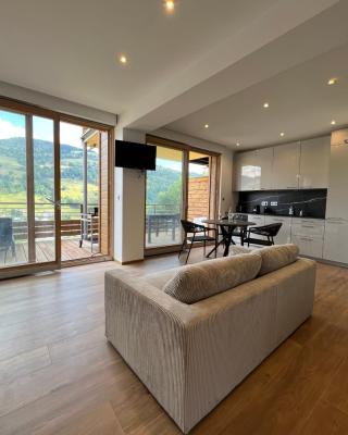 Magnifique appartement classé 4 étoiles avec Sauna et terrasse dans chalet