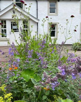 Hartfield House Hostel