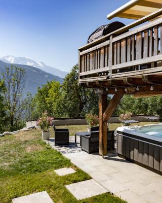 Chalet les Fiz