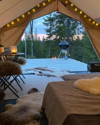 Glamping Tent with amazing view in the forest