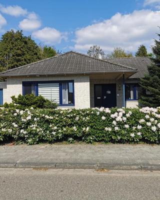 Haus Kenzo 65348
