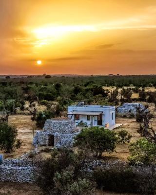 Casa Barzò - surrounded by olive trees