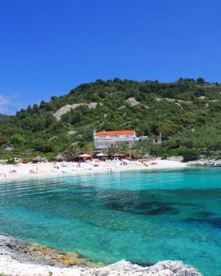 Rooms by the sea Hvar - 8785