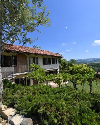 Cascina Flino - Tra le vigne - Appartamento 2