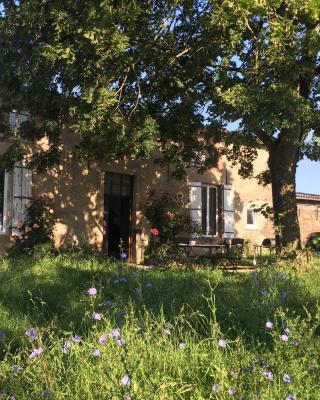 Chambres d'hôtes Les Pieds dans l'herbe