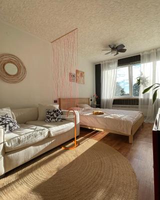 Nice apartment in Maardu