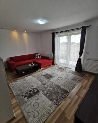 Apartament Ovidiu