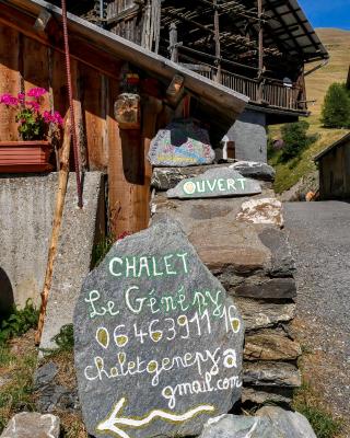 Chalet le Genepy with amazing views!