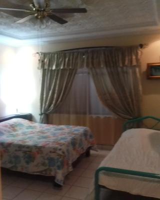 Alexander b&b