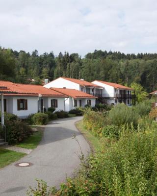 Ferienpark im schönen Falkenstein 6