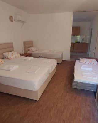 Guesthouse Mixe