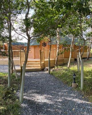Craigshannoch Luxury 1 bed woodland lodge hot tub