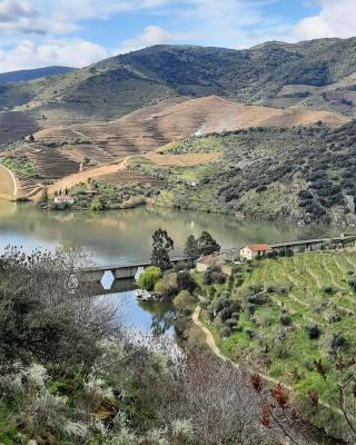 Quinta da Ferradosa Wines