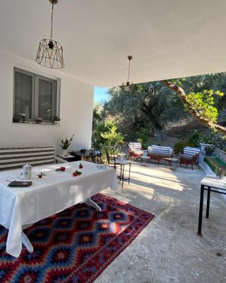 House with beautiful garden in Plomari