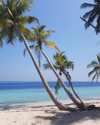 Vaali Maldives Island Escapes & Dive