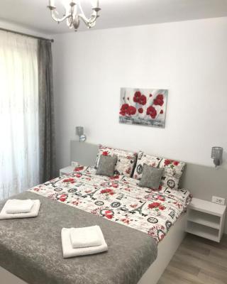 NEW Aparthotel Floresti