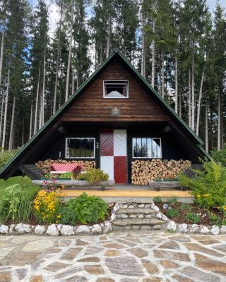 Berghütte Waldheimat